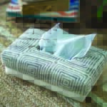 Bagru Hand Woven Tissue Box