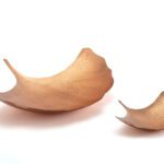 Ginkgo Leaf Platter