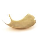 Gold Ginkgo Leaf Platter