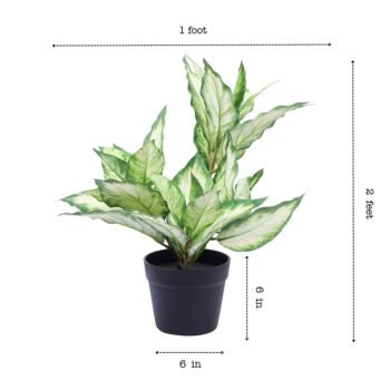 Faux Green Dieffenbachia Potted Plant with Black Plastic Pot