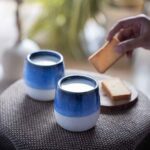 Ocean Blue Neer Tumbler (Set of 2)
