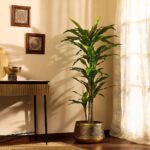 Faux Dracaena Plant with Black Plastic Pot