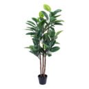 Faux Rubber Tree with Black Plastic Pot
