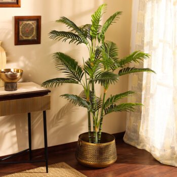 Faux Coastal Areca Palm Plant with Black Plastic Pot