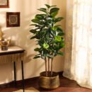 Faux Rubber Tree with Black Plastic Pot