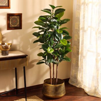 Faux Rubber Tree with Black Plastic Pot