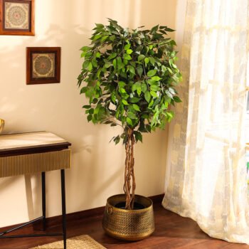 Faux Ficus Plant with Black Plastic Pot