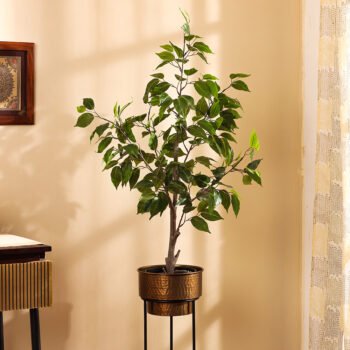 Faux Ficus Plant with Black Plastic Pot