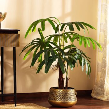 Faux Rhapis Palm Tree with Black Plastic Pot