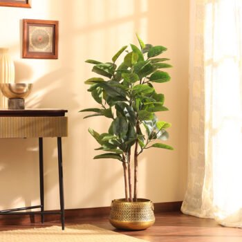 Faux Rubber Tree with Black Plastic Pot
