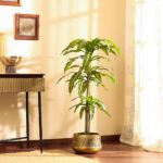Faux Dracaena Plant with Black Plastic Pot