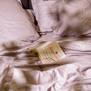 Hazelnut Grid Jacquard King Flat Sheet Set | 2 Pillow Covers
