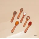 Pure Neem Masala Spoons (Set of 6)