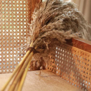 Savanna Breeze Single Bunch