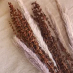 Rustic Charm Single Bunch