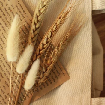 Golden Reverie Single Bunch