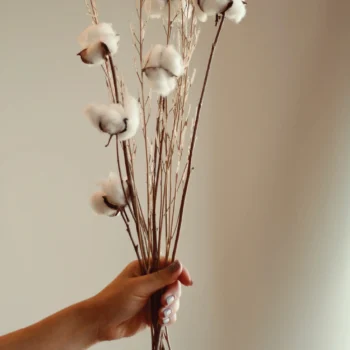 Winter Solace Single Bunch