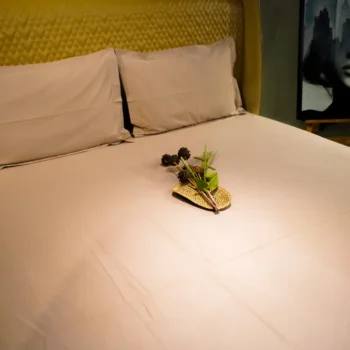 Coffee Dream 500 TC Cotton Flat Sheet Set