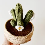 Crochet San Pedro Cactus