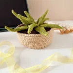 Crochet Aeonium Succulent