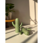 Cactini Salt & Pepper Shakers