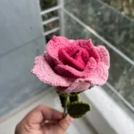 Pink Gradient Crochet Thai Rose - Single